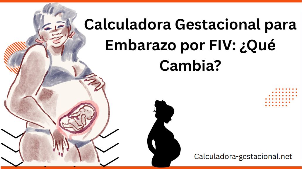 Calculadora Gestacional para Embarazo por FIV ¿Qué Cambia
