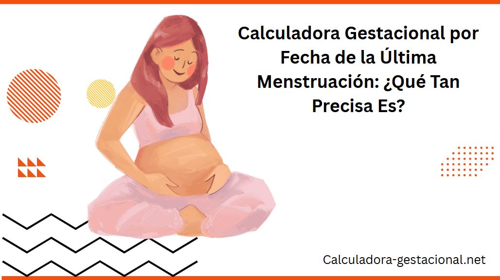 Calculadora Gestacional por Fecha de la Última Menstruación ¿Qué Tan Precisa Es