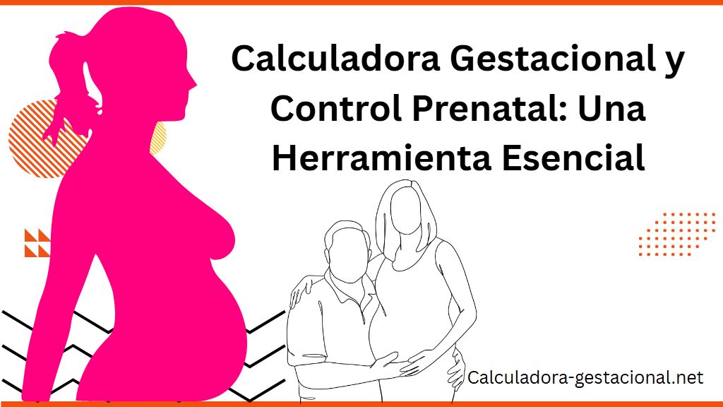 Calculadora Gestacional y Control Prenatal Una Herramienta Esencial