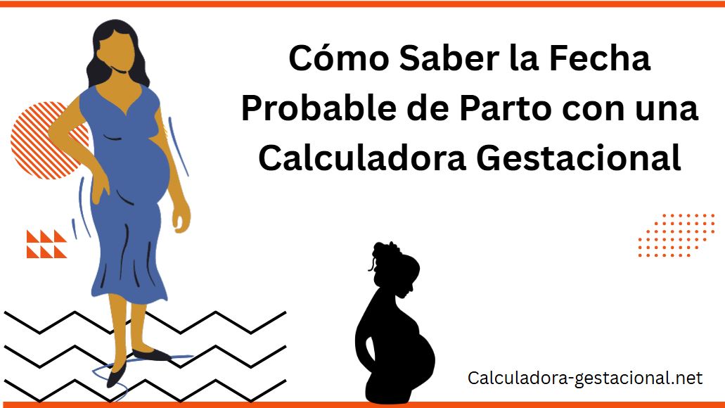 Cómo Saber la Fecha Probable de Parto con una Calculadora Gestacional