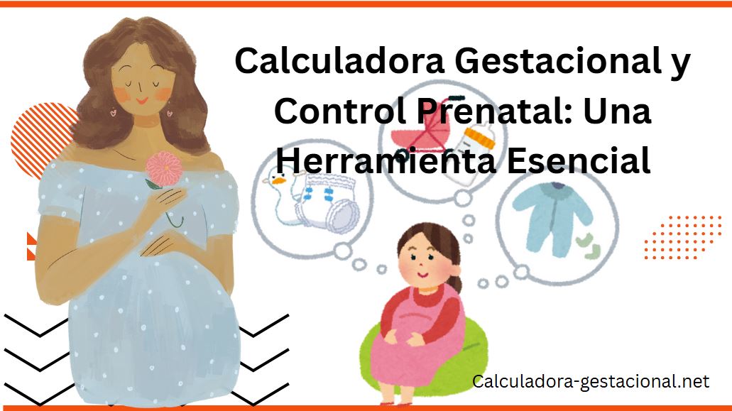 Errores Comunes al Usar una Calculadora Gestacional y Cómo Evitarlos