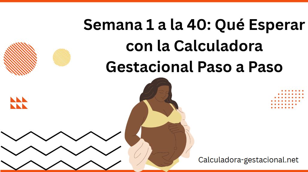 Semana 1 a la 40 Qué Esperar con la Calculadora Gestacional Paso a Paso