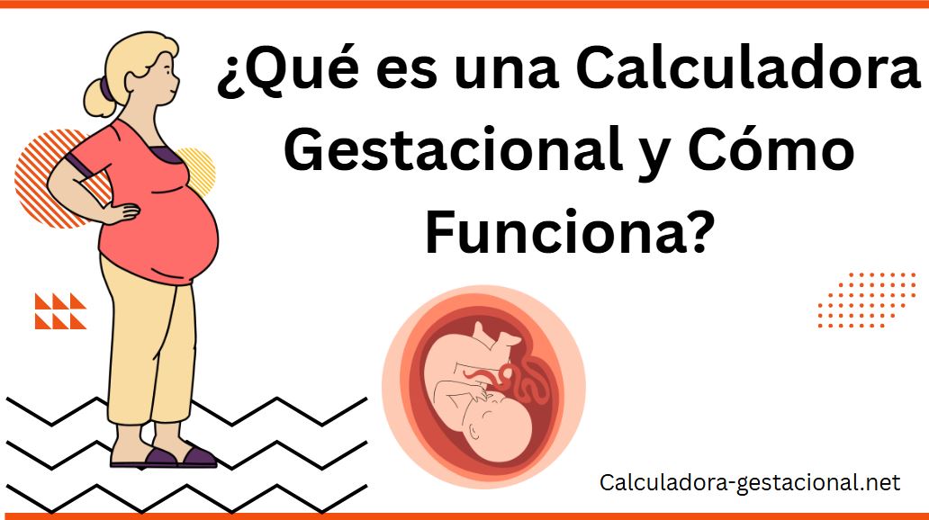 ¿Qué es una Calculadora Gestacional y Cómo Funciona